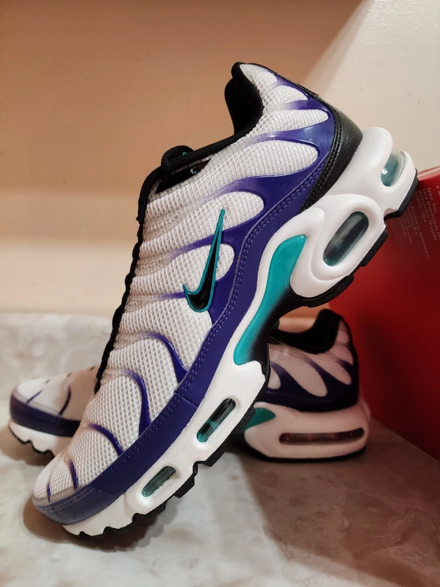 Nike tns shop blue and purple