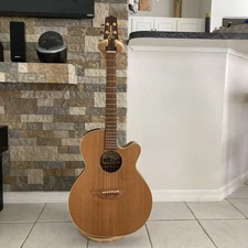 Takamine EAN40C Electric Acoustic Guitar Rare Cedar Top With Hard Case