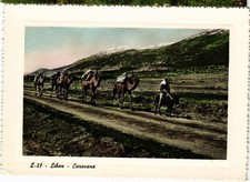 CPM AK Caravan LEBANON (1494040)