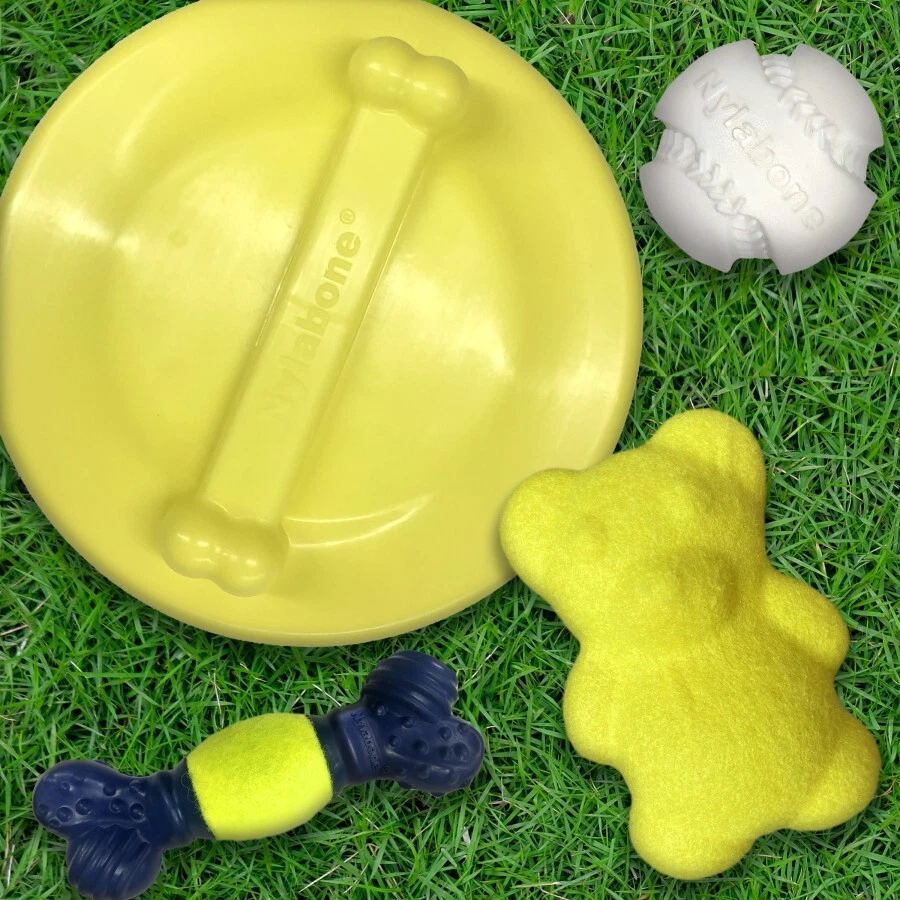 Nylabone Power Play Ultra Glider Gripz Flying Disc Dog Toy, Large - Image 4 of 4