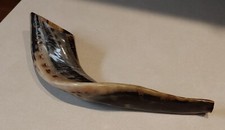 Kosher Ram Shofar Horn from Israel 12  -14" Traditional Half Polished Ram Shofa