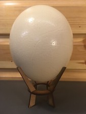 Genuine Natural Blown Ostrich Egg & Eco Wood Stand