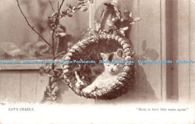 R466956 Katzenwiege Vögel in ihren kleinen Nestern stimmen zierliche Serie 1906 zu