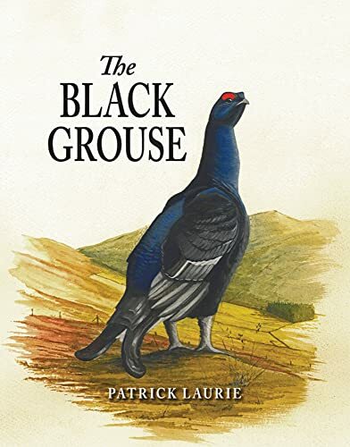 The Black Grouse by Patrick Laurie - - Image 5
