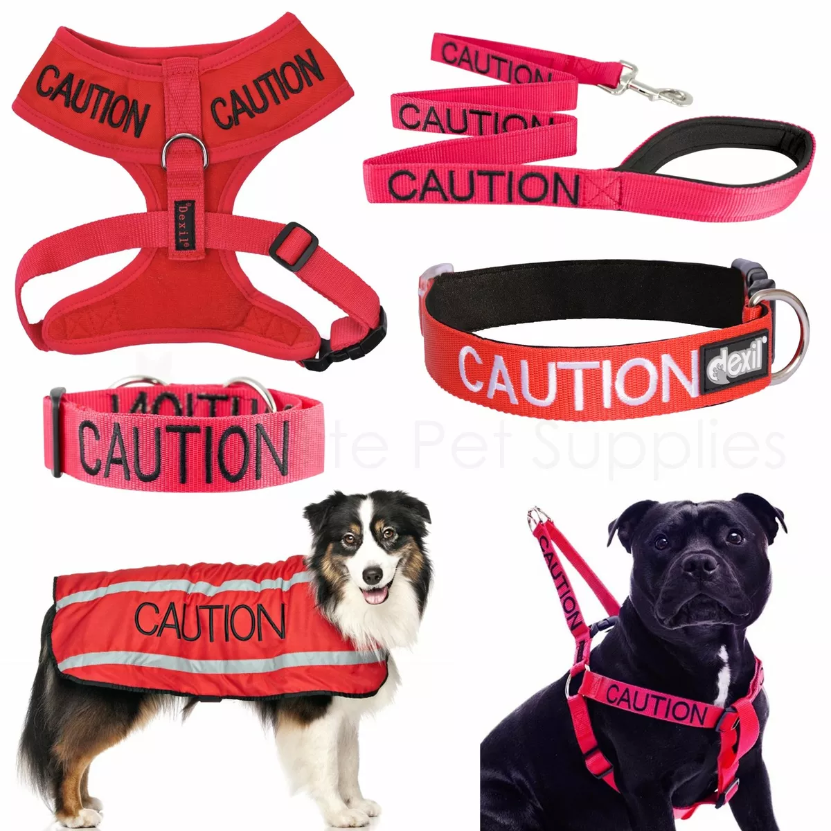 Caution 2025 dog harness