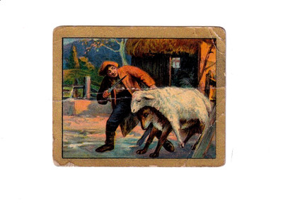 American Tobacco card, Turkish Trophies fable series Wolf in sheep's clothing