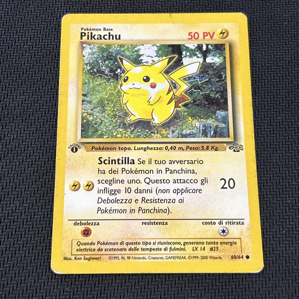Pikachu Jungle 60/64 1st Edition ITALIAN | eBay