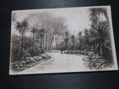 Postcard of Morrab Gardens, Penzance (posted 1913)