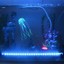 Indexbild 12 - Aquarium LED Lampe Weiß Blau Dimmbar Wasserdicht Aquarium Beleuchtung 4 Größen