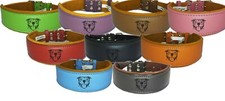 Leather Staffy Dog Collars Staffordshire Bull Terrier Padded collar Dog Face