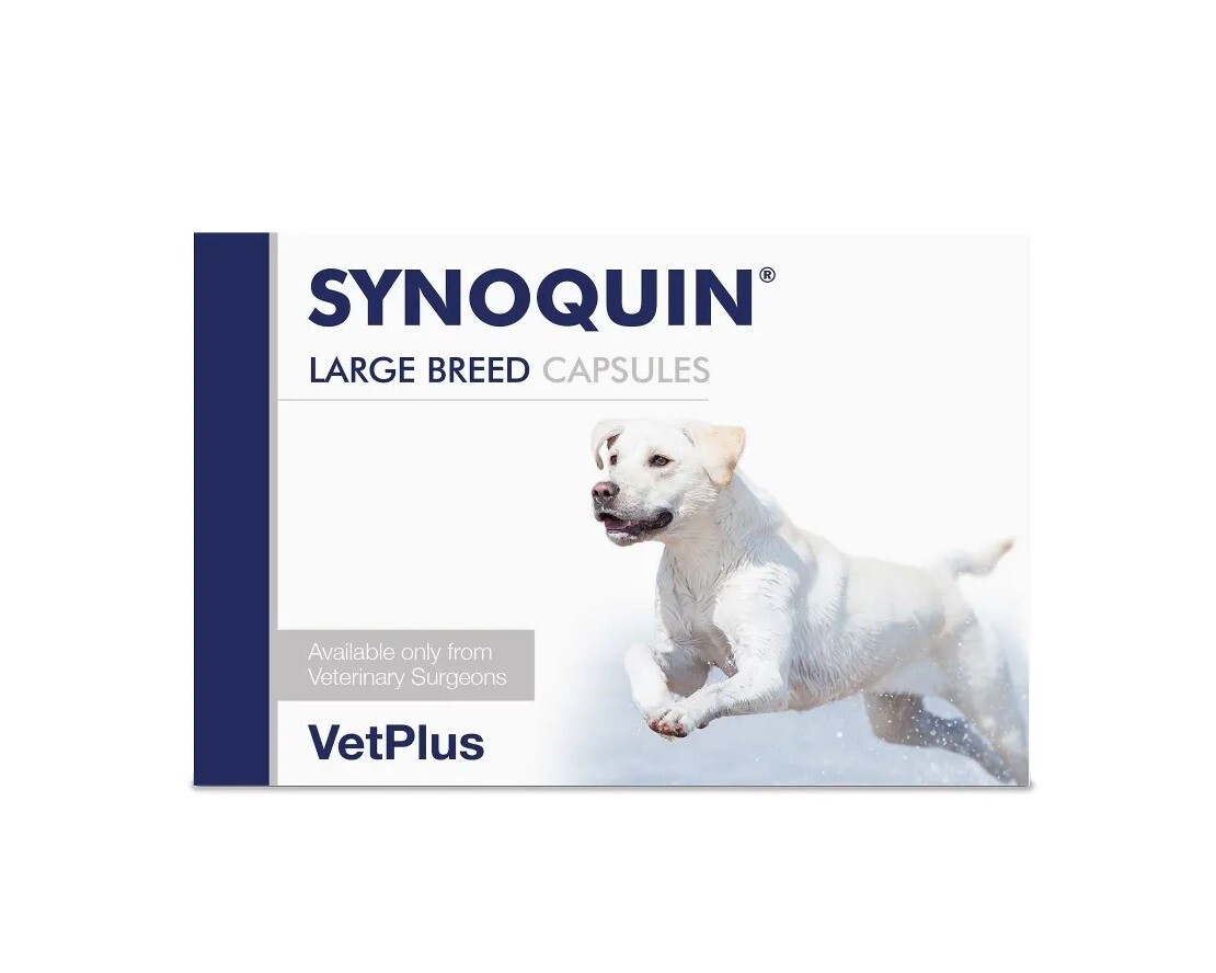 SYNOQUIN Large Breed Joint Support Supplement for Dogs x 30 Capsules