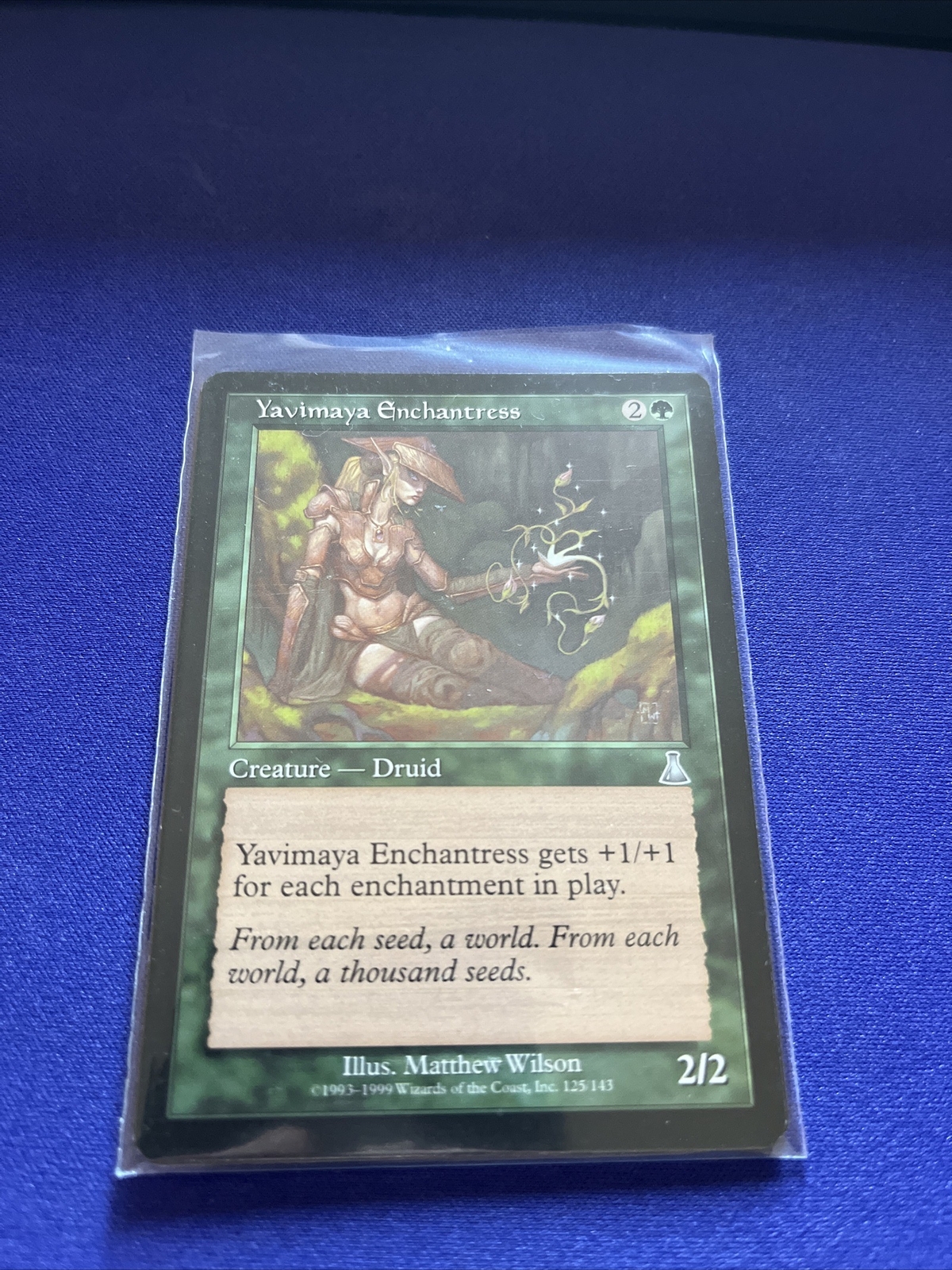 Yavimaya Enchantress MTG Urza's Destiny NM Magic Regular