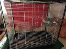 Gro&szlig;er Papageienk&auml;fig/Vogelk&auml;fig Schwarz/Wei&szlig; mit Sitzstangen