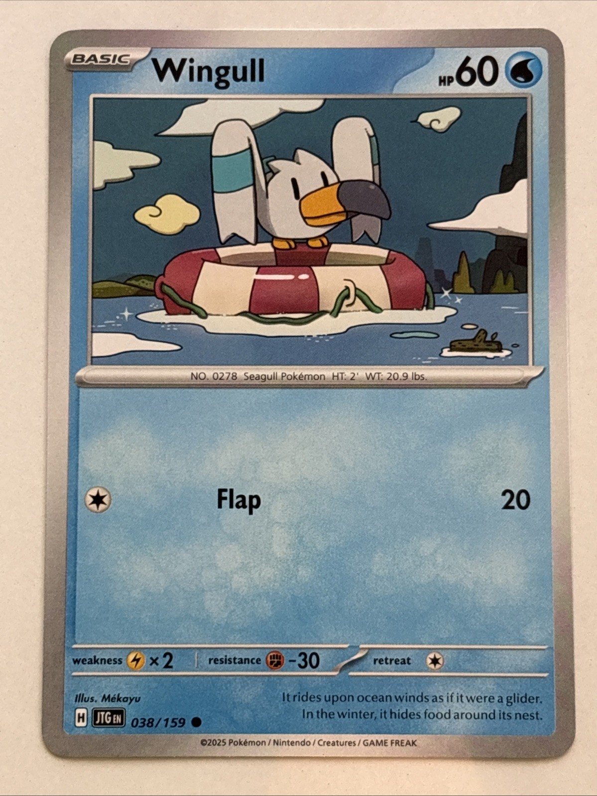 Pokémon TCG Journey Together Wingull 038/159 NM