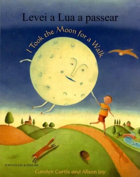 Alison Jay | I Took The Moon For A Walk | Taschenbuch | Englisch (2008)-image