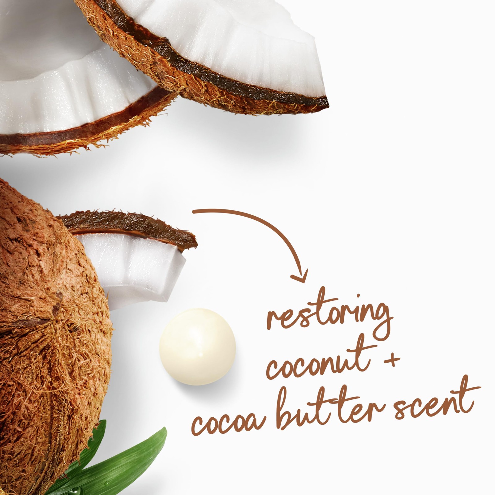 Dove Body Wash Restore Coconut Cocoa Butter 30.6oz Pump 24hr Moisturizing