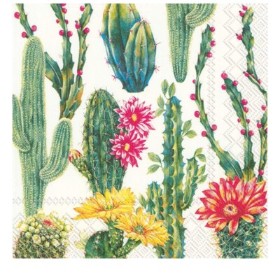 Two Single Cocktail Napkins for Decoupage Spring Summer Succulent Flowers Cactus