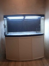 Aquarium mit unterschrank, pumpe und diverses zubehör.