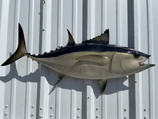 36" Blackfin Tuna Half Mount Fish Replica - Quick Production