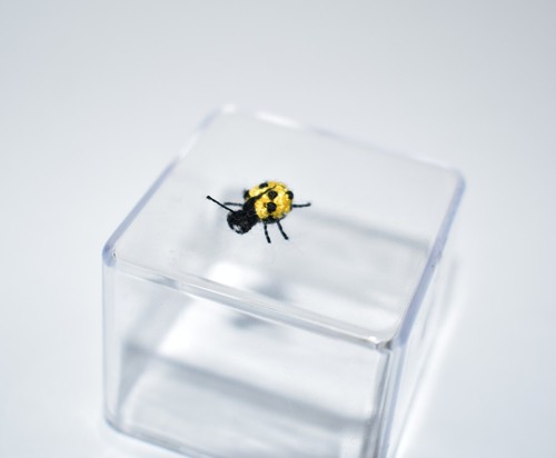 Extremely Micro Ladybug 0.4" Dollhouse Miniature Pet Tiny Animal Toy Insect Gift - Picture 4 of 8