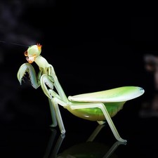 Art Glass Praying Mantis Figurine Hand Blown Insect Sculpture Home Decor