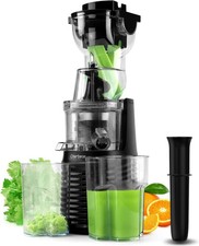 300W Slow Masticating Juicer Machine for Fruits Vegetables Citrus