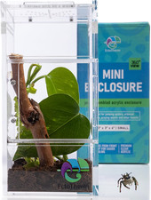 Jumping Spider Enclosure - Complete Acrylic Terrarium Habitat for Spiders, Taran