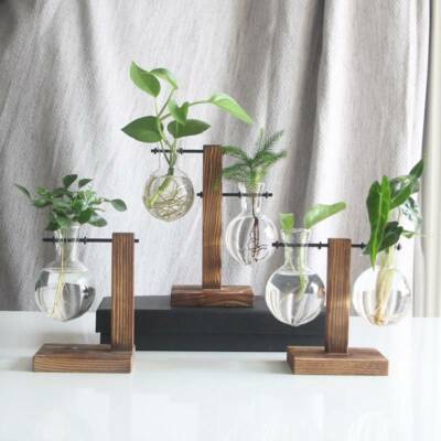 Flower Pot Tabletop Plants Hydroponic Plant Vintage Bonsai Decor Glass |  eBay