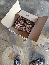 25pcs Manzanita slices burl ,slabs live edge wood crafts aquarium arts 23 Rare