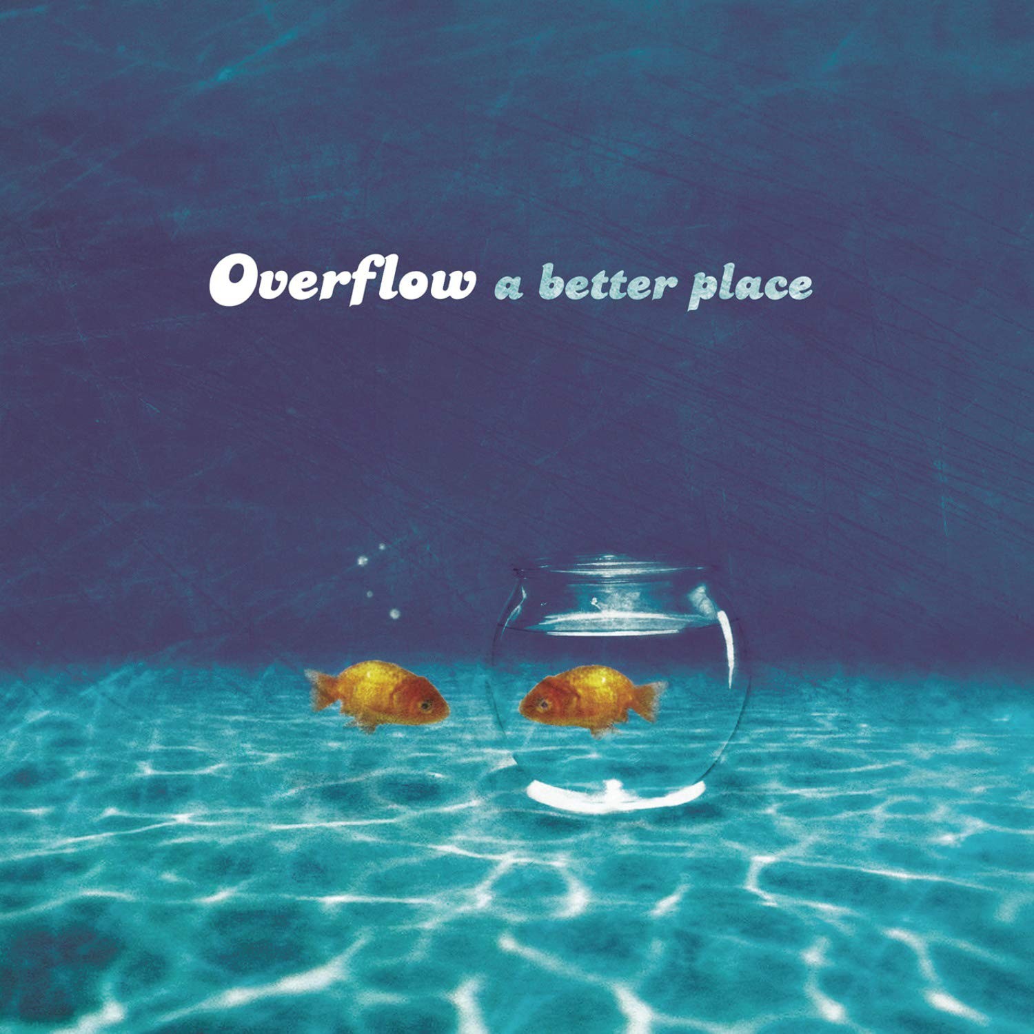 Переполнение Better Place (CD)
