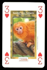 Association of Zoos & Aquarium playing cards – Select animal from list - AB57
