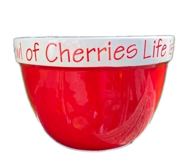 Dept 56 Life is Just a Bowl of Cherries 11" Ceramic Serving Mixing Bowl