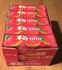 Lotte, Chewing Gum, "UME GUM" 9 gum sticks x 15, Japan Candy