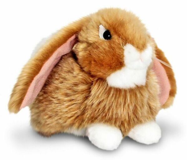 Keel Toys Wild 25cm White Lop Eared Bunny Rabbit Cuddly Soft Toy Teddy 035 for sale online | eBay