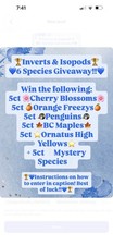 WIN FREE ISOPODS SIGN UP FOR GIVEAWAY invertsandisopods on I.G.