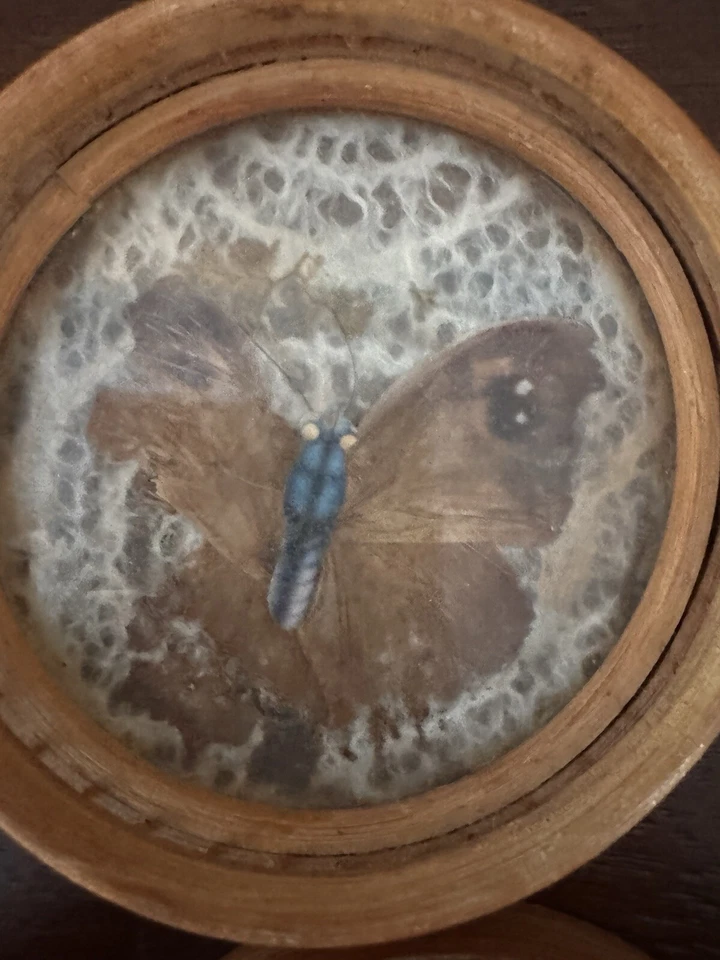 Posavasos de bambú hechos a mano con mariposas reales y polillas debajo del vidrio.  Foto 3 de 4
