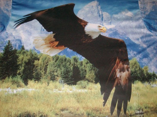 Eagle Woodland Mountains Get a Life 2-sided Long Sleeve Patriotic Shirt Mens 2XL - 第 1/3 張圖片