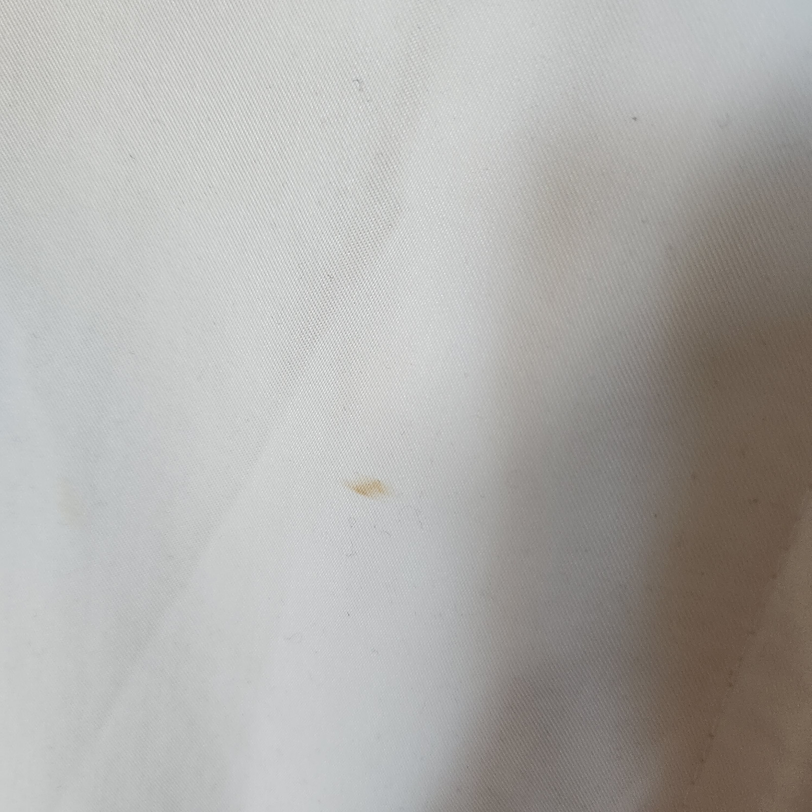 Picture 12 of 13