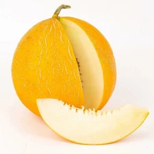 40 Heirloom Kazakh Melon Seeds - Very Sweet Slightly Crunchy - Very Fast Growing