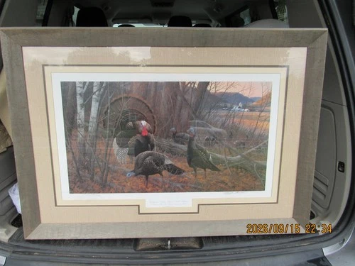 Frame Print Signed & Numbered by Artist Michael Sieve Wild Turkeys