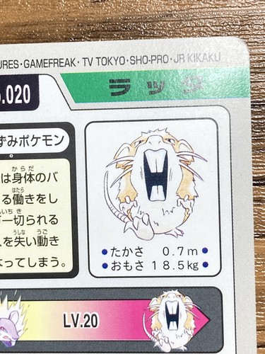 Pokemon Carddass Card Raticate File No.20 Bandai Pocket Monsters 1997 Japan - Picture 15 of 17