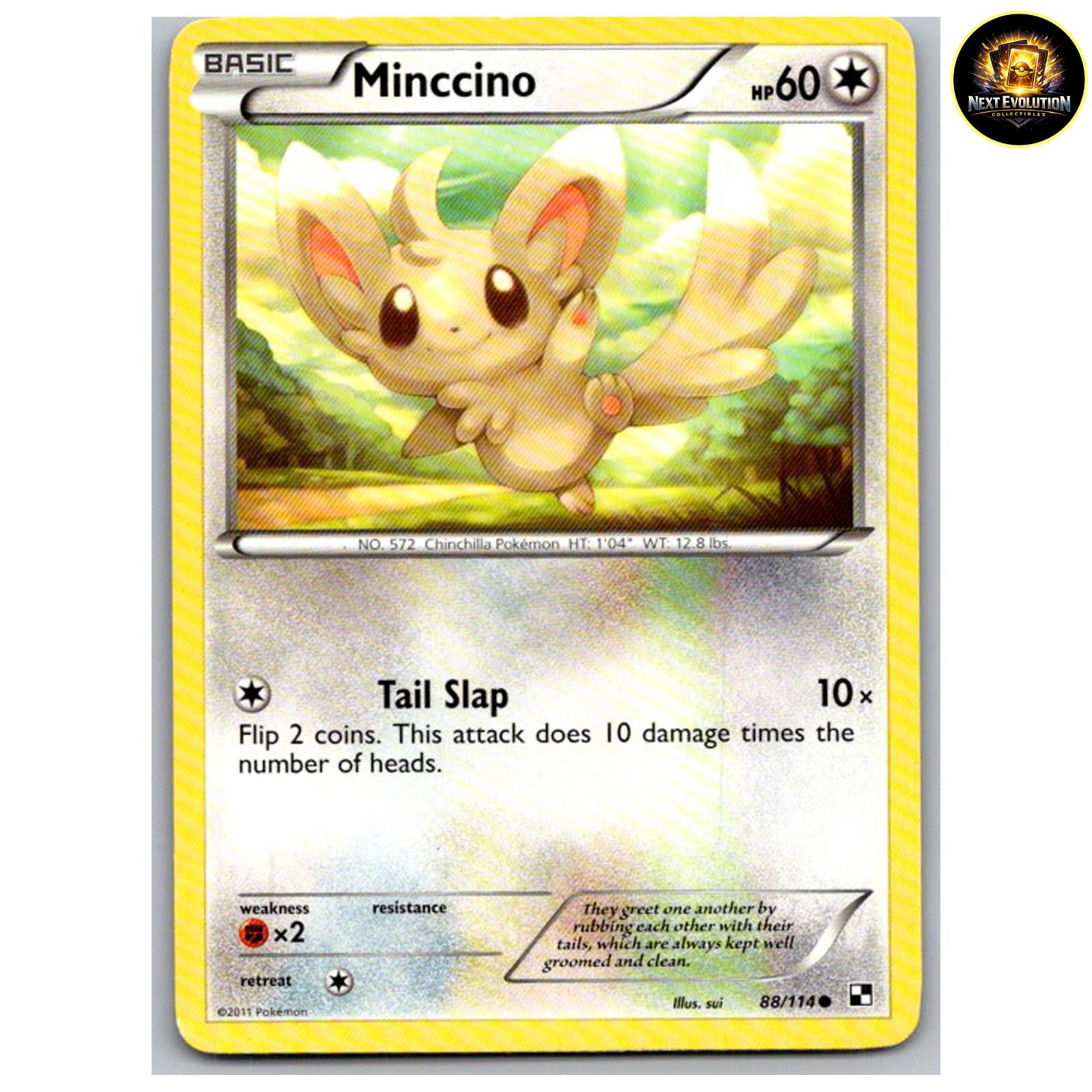 Minccino Common Black & White 88/114 NM
