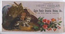 (R37) Henry Kessler, Hunde Werbekarte, Erie P...