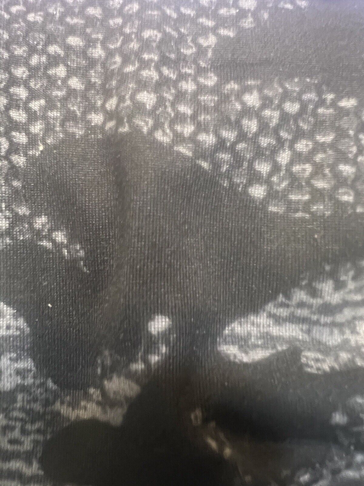 Picture 3 of 3