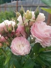 Bild 3 von 9