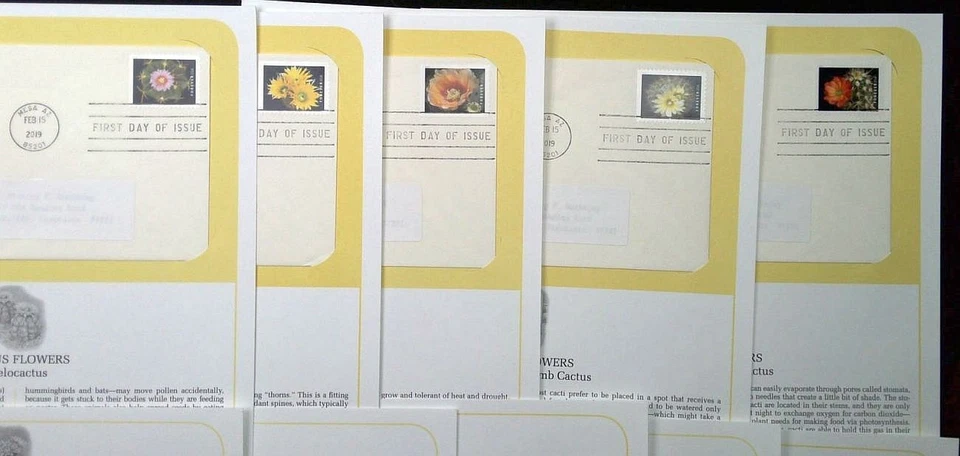 Cactus Flowers Sc 5350-5359 FDC 2019 PCS desierto botánica flor planta natural Foto 3 de 4