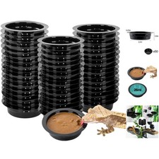 Easy Clean Acrylic Reptile Feeder Ledge with 6 Cups for Chameleons  Lizards