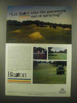 1985 Milliken Chemicals Blazon Ad - The Guesswork