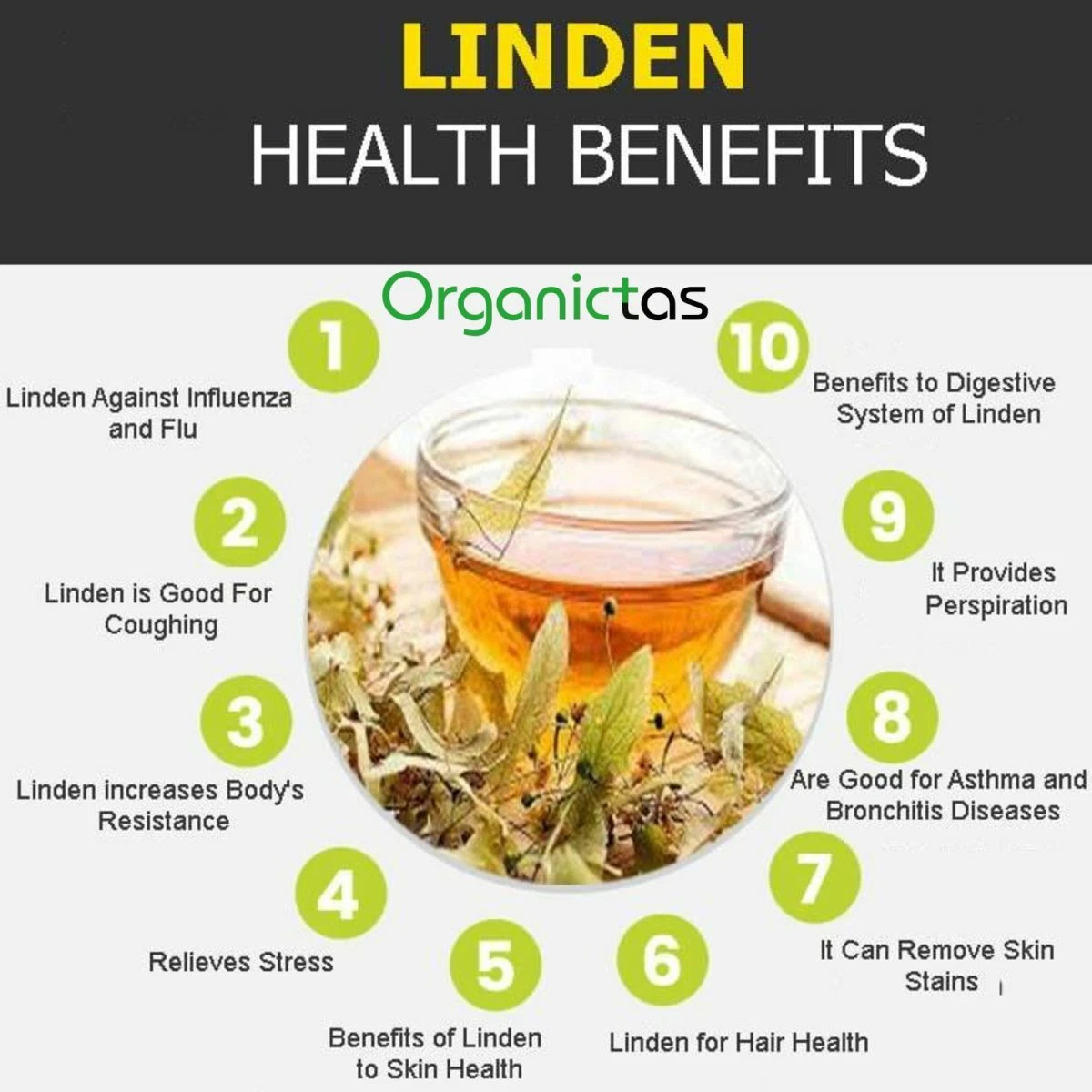 Linden Flower Tea Benefits Best Flower Site