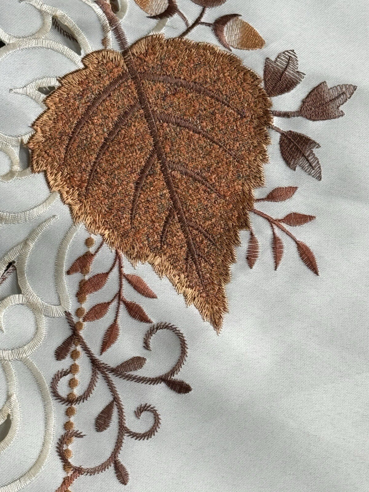 Picture 5 of 8